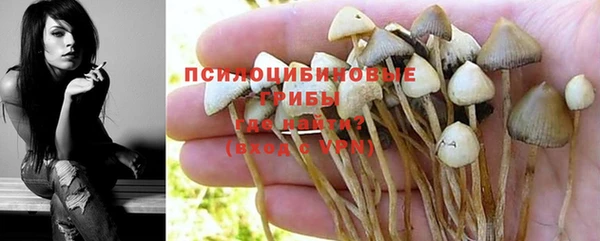 кокс Белокуриха