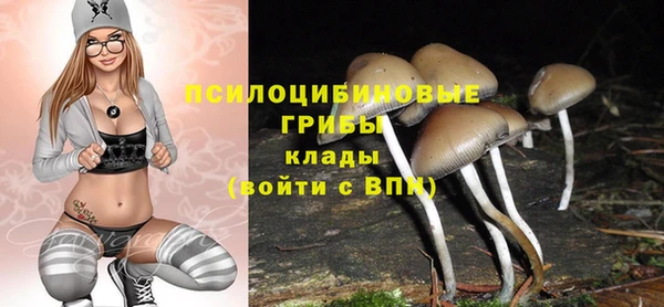 мдпв Снежинск
