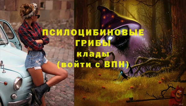 MDMA Premium VHQ Слюдянка