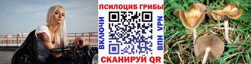 Псилоцибиновые грибы мицелий Благодарный