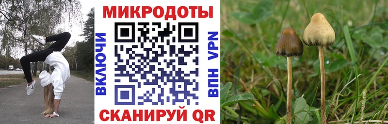 Галлюциногенные грибы Cubensis  купить наркотик  кракен сайт  Благодарный 
