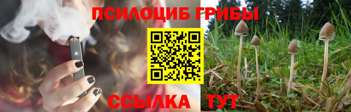 Псилоцибиновые грибы Psilocybe Благодарный