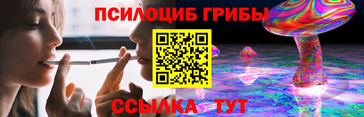 как найти наркотики  Псилоцибиновые грибы Psilocybine cubensis  Благодарный  Вход с VPN  Галлюциногенные грибы мицелий 