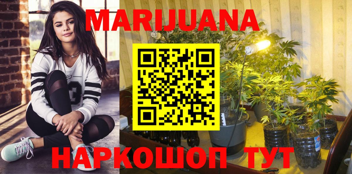 Бошки Шишки конопля  Вход с VPN  Благодарный  Бошки марихуана AK-47 