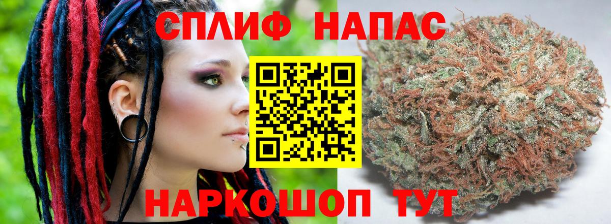 Канабис план Благодарный